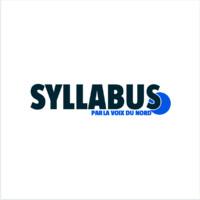 Syllabus Média