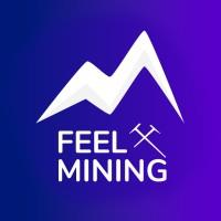 FEEL MINING 