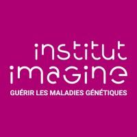 Institut Imagine