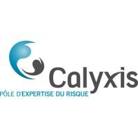 Calyxis