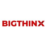 Bigthinx