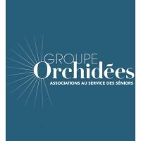 Le Groupe Orchidées