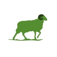 Greensheep