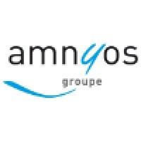 AMNYOS Consultants