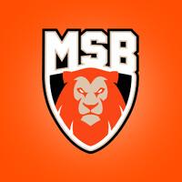 Le Mans Sarthe Basket