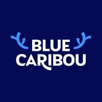 Blue Caribou Productions