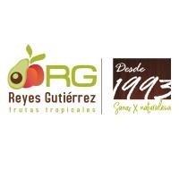 Reyes Gutiérrez S.L