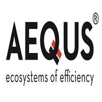 AEQUS AEROSPACE FRANCE