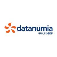 Datanumia, EDF Group