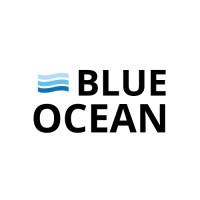 Blue Ocean Strategy