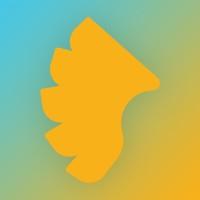 Bnet (Бинет)