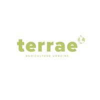 Terrae