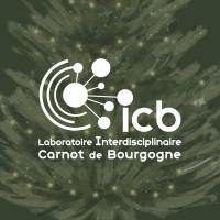 Laboratoire ICB