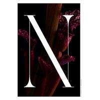 NARCISSE MAGAZINE