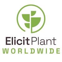 Elicit Plant