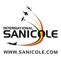 Sanicole Airshow