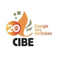 Comité Interprofessionnel du Bois-Energie (CIBE)