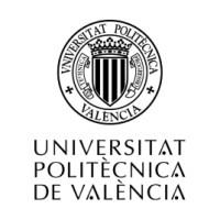 Universitat Politècnica de València (UPV)