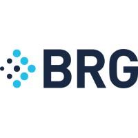 Berkeley Research Group (BRG)