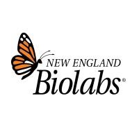 New England Biolabs