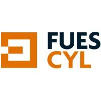 Fundación Universidades y Enseñanzas Superiores de Castilla y León. FUESCYL