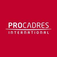 PROCADRES INTERNATIONAL - Management de transition