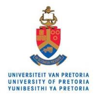 University of Pretoria 