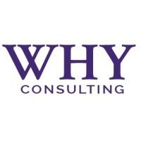 WHY CONSULTING