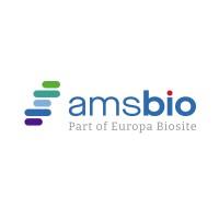Amsbio