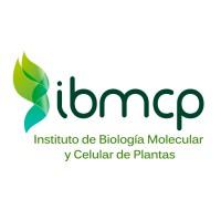 Instituto de Biología Molecular y Celular de Plantas, IBMCP (UPV - CSIC)