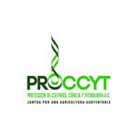 PROCCYT A.C.