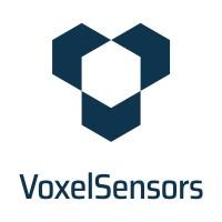 VoxelSensors