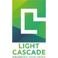 LIGHT CASCADE