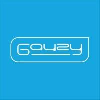 Gauzy Aeronautics (formerly Vision Systems)