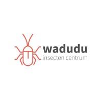Wadudu