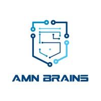 Amn Brains