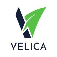 VELICA