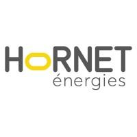 HORNET ENERGIES