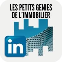 Les petits génies de l'immobilier - LPGI