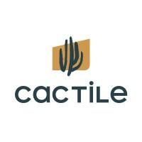 Cactile, la toiture qui stocke l'eau de pluie