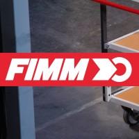 FIMM