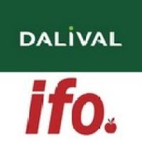 DALIVAL IFO