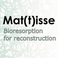 Interreg Mattisse