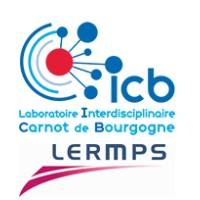 ICB-LERMPS