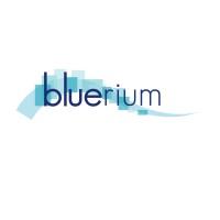 BLUERIUM SAS