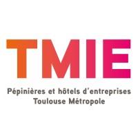 Toulouse Métropole Innovation et Entreprises (TMIE)