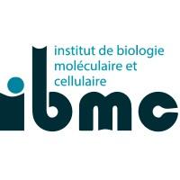 IBMC - CNRS