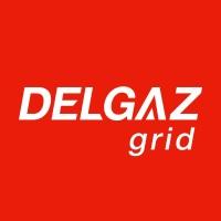 Delgaz Grid