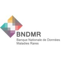 French National Rare Disease Registry