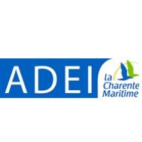 ADEI 17